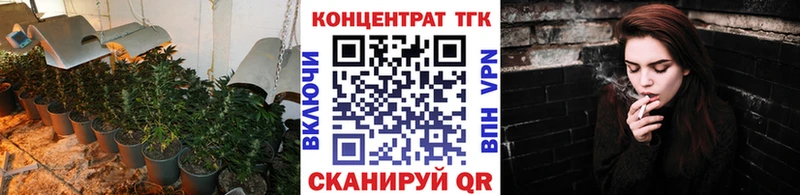 Купить где  Екатеринбург  ТГК концентрат 